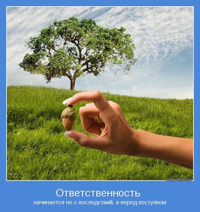 Ответственность и последствия