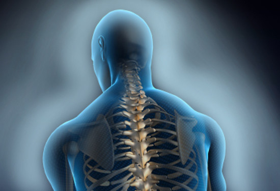 Строение тела человека: три тела человека